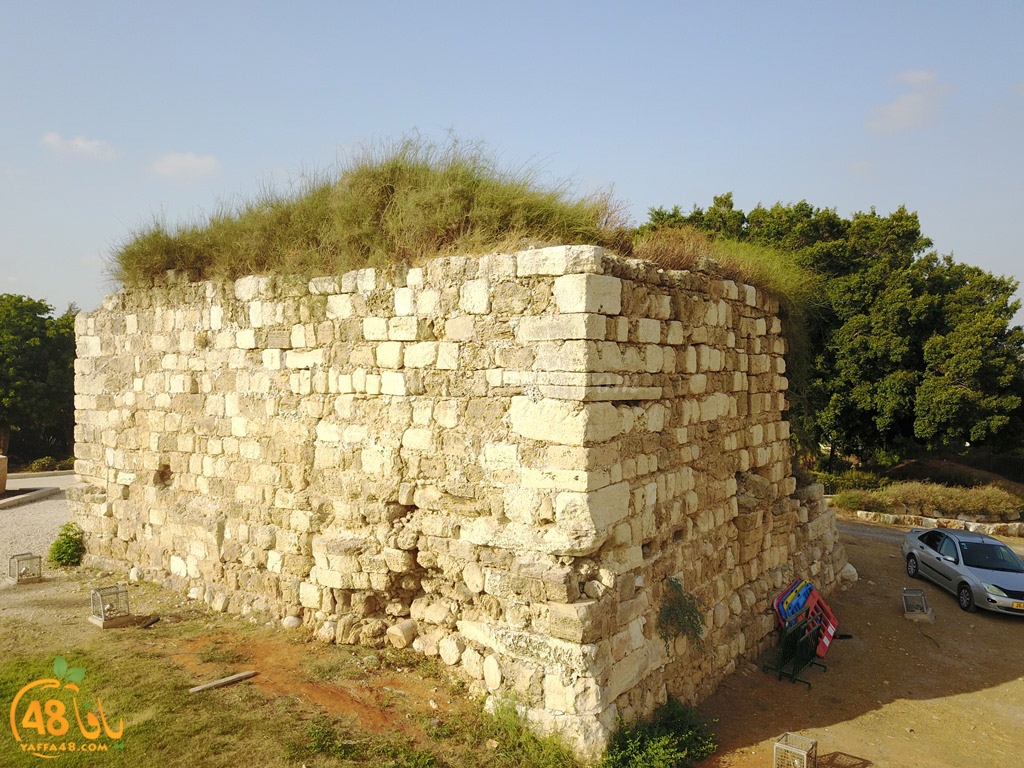 Yaozooor ej (28).JPG